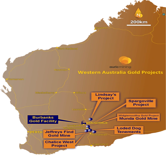 auric mining eastern goldfields project map munda jeffreys find spargoville burbanks gold plant