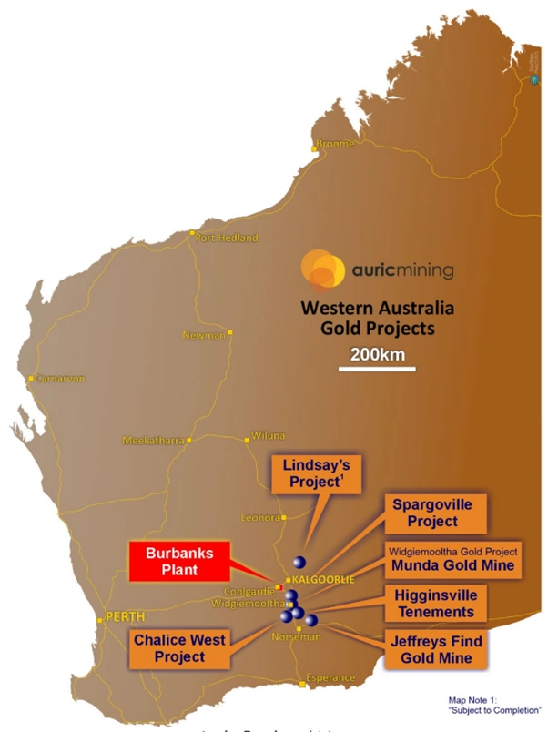auric mining project footprint eastern goldfields western australia