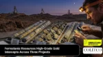 forrestania resources high grade gold intercepts across three projects