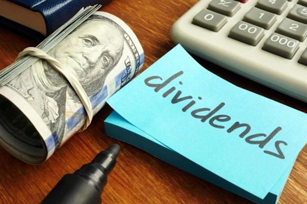 investors choose high yield dividend stocks for stable income 2026
