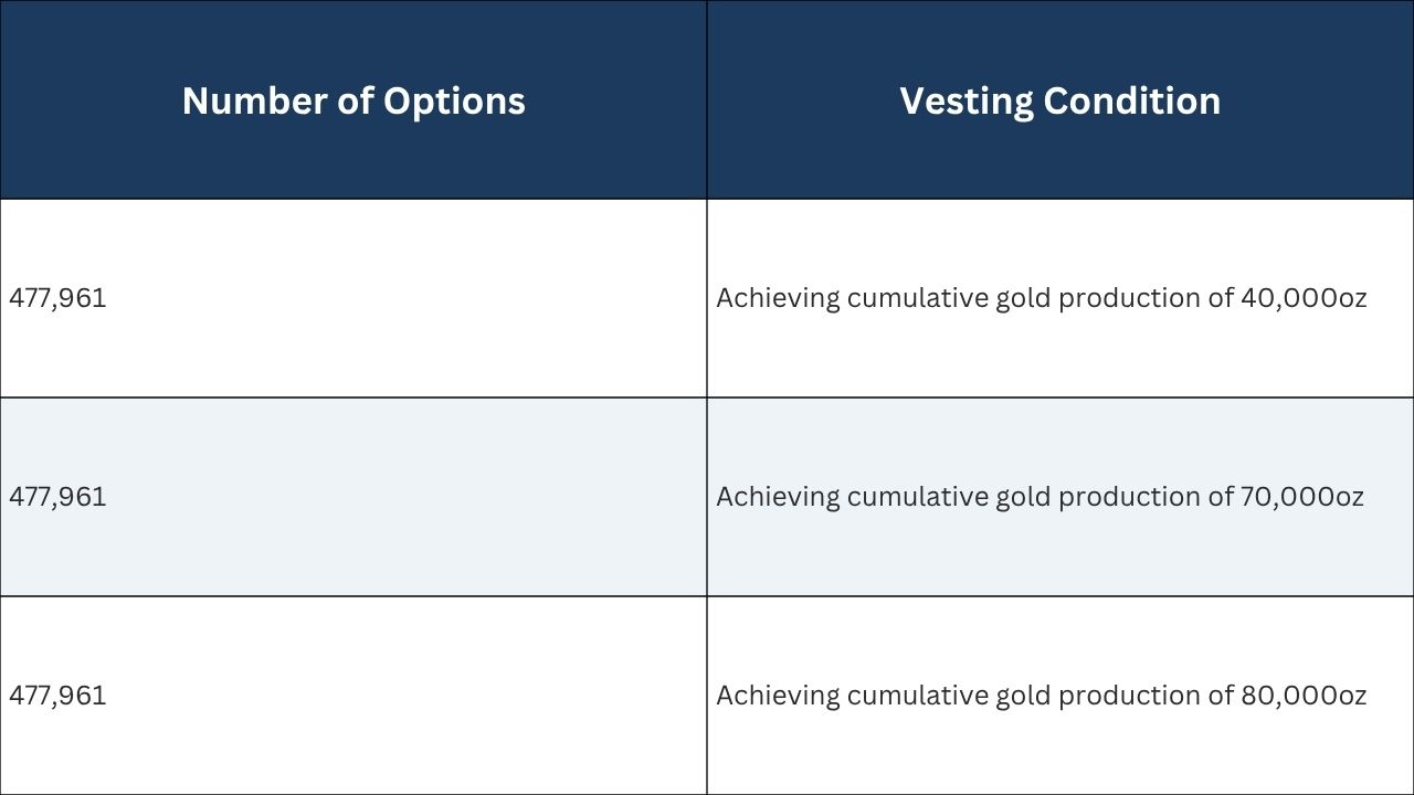 performance rights expiry five years from issue date