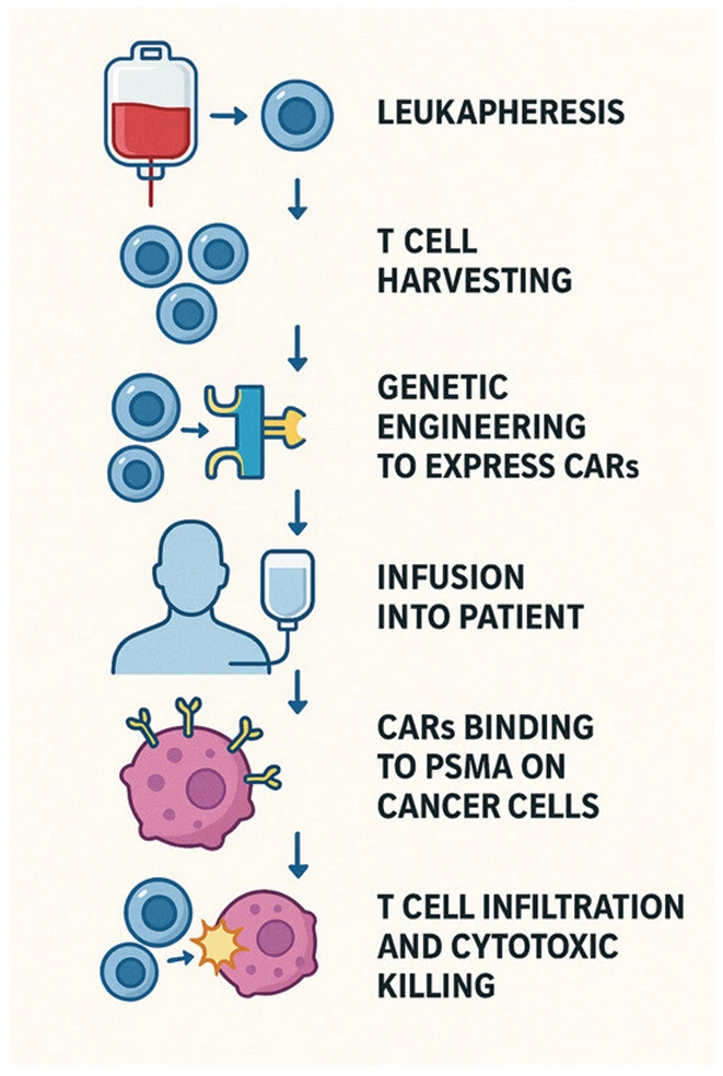 psma therapy mechanism illustration