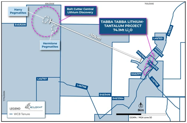 wildcat resources advances lithium exploration across pilbara pegmatite zones