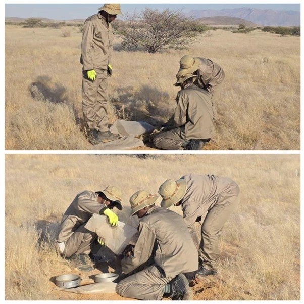 Top view of a field team at EPL 7626 collecting sieved soil samples during an exploration and geochemical survey program.