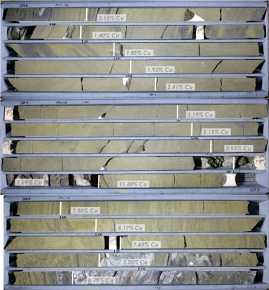 Drill core displaying high-grade copper sulphide mineralisation from the Avoca Tank exploration area.