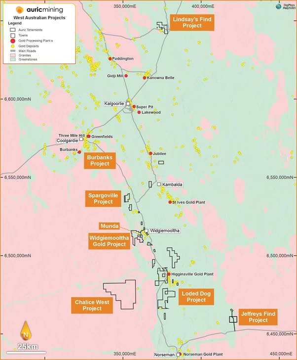 map displaying auric mining project portfolio across the widgiemooltha norseman region highlighting key gold exploration and development sites