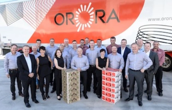 orora share price declines following a saverglass earnings downgrade and weaker profit outlook for the packaging business