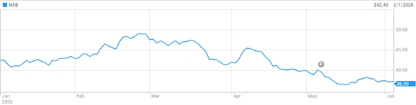 National Australia Bank (ASX: NAB) share price performance from January to June 2026, highlighting the approximately 25% pullback from its February all-time high.