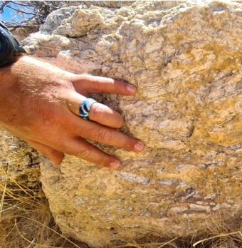 Pegmatite outcrop at the K9 Target displaying weathered spodumene mineralisation. Visual observations are indicative only and should not be considered a substitute for laboratory assay results.