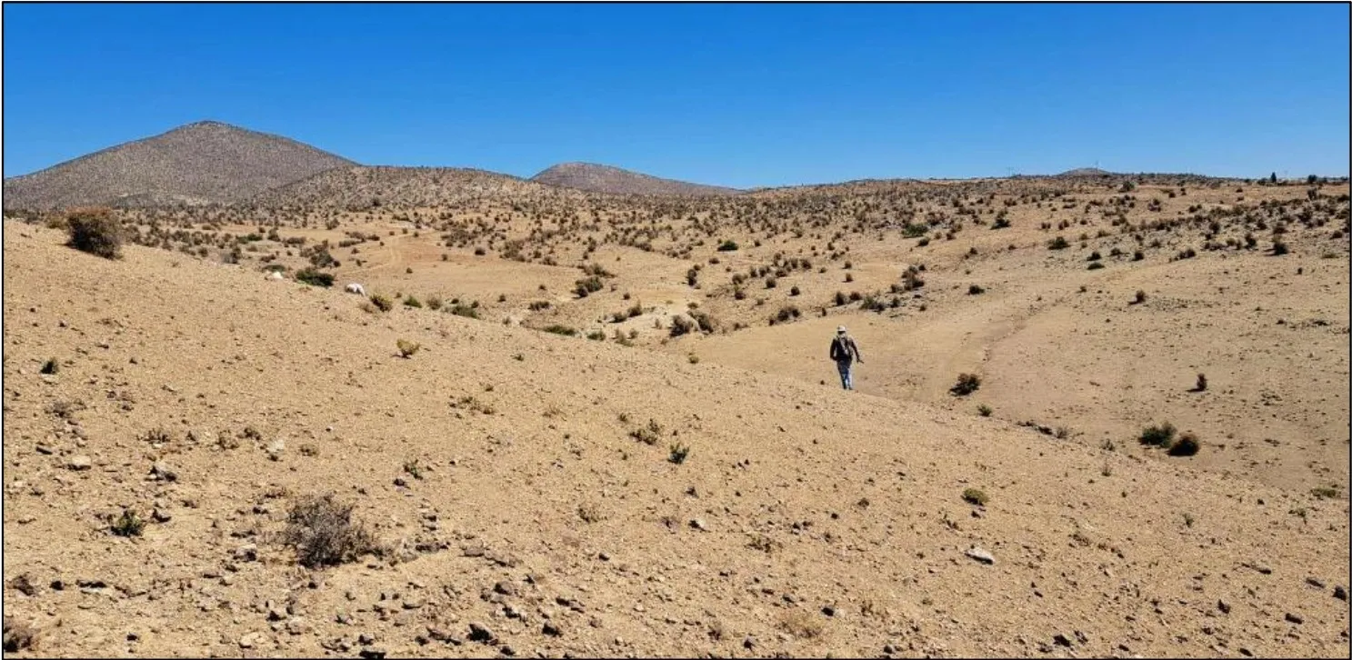 Lana Corina Project, Culpeo Minerals' flagship copper asset in Chile