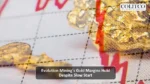 Evolution Mining’s Gold Margins Hold Despite Slow Start