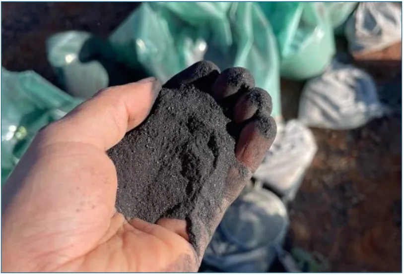 Black Coloured, Heavy Magmatic Sulphide Mineralization At The Dante Reef