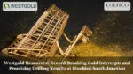 Westgold Resources: Record-Breaking Gold Intercepts and Promising Drilling Results at Bluebird-South Junction
