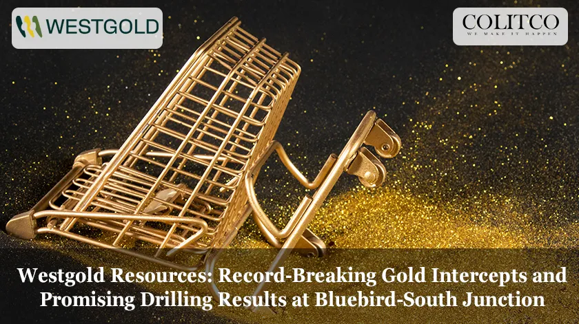 Westgold Resources: Record-Breaking Gold Intercepts and Promising Drilling Results at Bluebird-South Junction